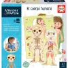 Aprender es Divertido el Cuerpo Humano