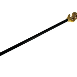 Bastón Dolar 76 cm Carnaval