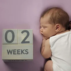 Bloques de edad de madera