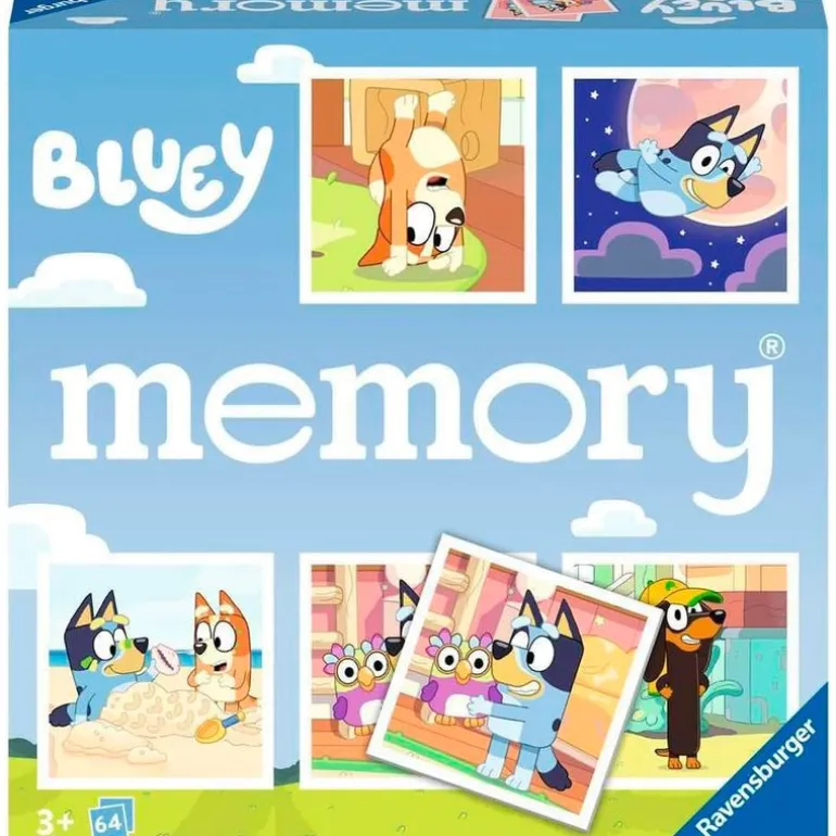 Bluey Memory
