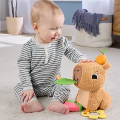 Capibara Abracitos y Jueguecitos