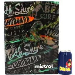 Carpeta Escolar California