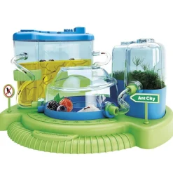 Ciencia y Juego el Mundo de la Hormiga