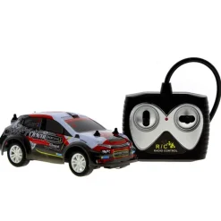 Coche R/C Rally Monster