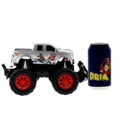 Coche Truck 4X4