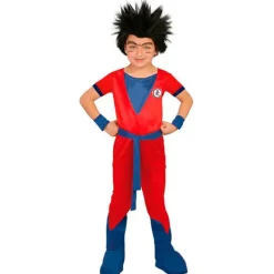 Disfraz Dragon Ball