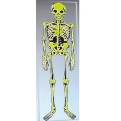 Esqueleto de Decoración