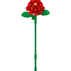 Flores Bouquet Construcción Individual Surtida