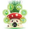 Garden Keepers Fungipot Mascota Digital Interactiv