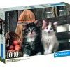 Gatitos Puzzle 1000 Piezas