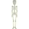 Halloween Esqueleto Fosforescente