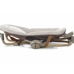 Hamaca Evolution Cosmos