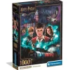 Harry Potter Puzzle 1000 Piezas