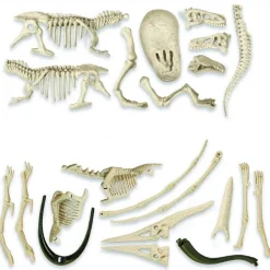 Jurassic World Pack Excavación T-Rex & Pteranodon