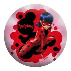 Ladybug Pelota PVC de 14 cm