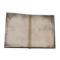 Libreta Voldemort con Luz