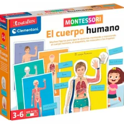 Montessori el Cuerpo Humano