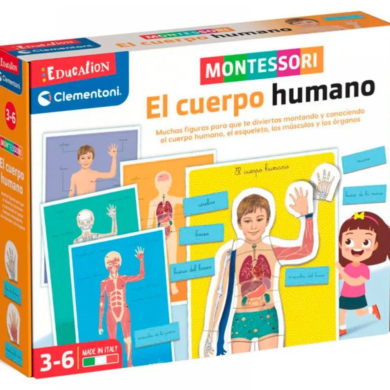 Montessori el Cuerpo Humano