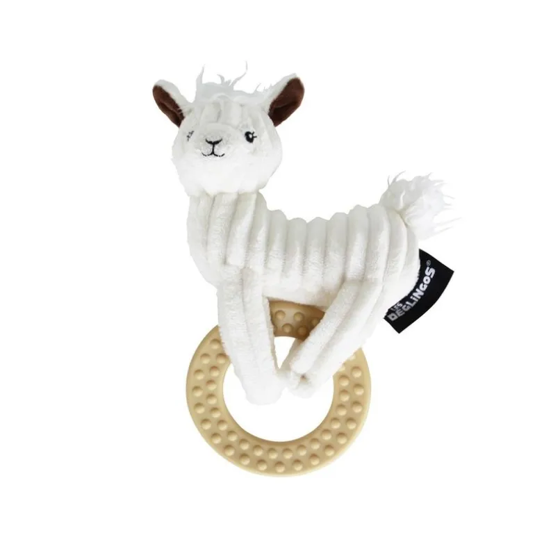 Mordedor con anillo llama muchachos