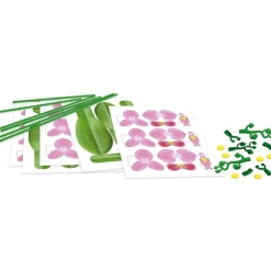 Orquídea Floral Art