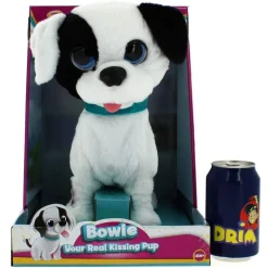 Perrito Bowie Besitos de Verdad