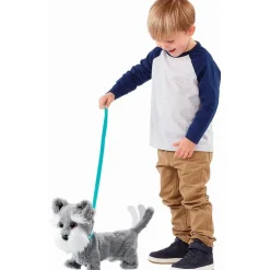 Perrito Tilly el Terrier