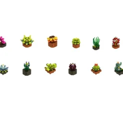 Planta Exótica Construcción Surtida