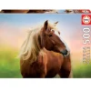Puzzle Caballo al Amanecer 500 Piezas