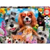 Selfie Mascotas Puzzle 200 Piezas
