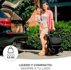 Silla paseo Apino 22kg Negra