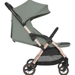 Silla paseo Eden 22kg Verde