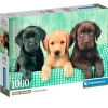 Trío de Labradores Puzzle 1000 Piezas
